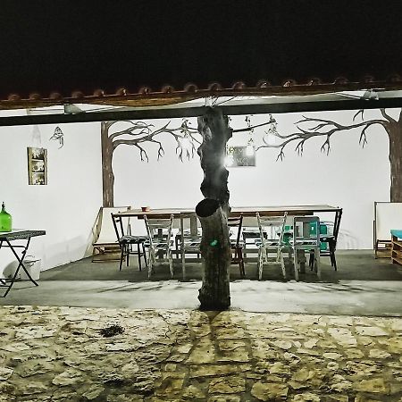 Turismo Rural Casa Da Ceu Amiais de Cima 外观 照片