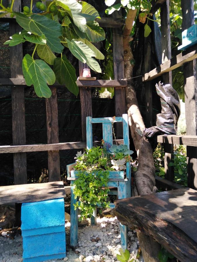 Turismo Rural Casa Da Ceu Amiais de Cima 外观 照片