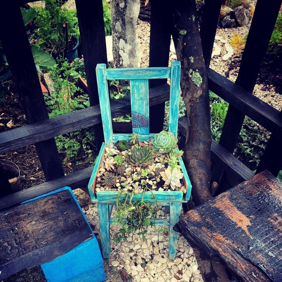 Turismo Rural Casa Da Ceu Amiais de Cima 外观 照片