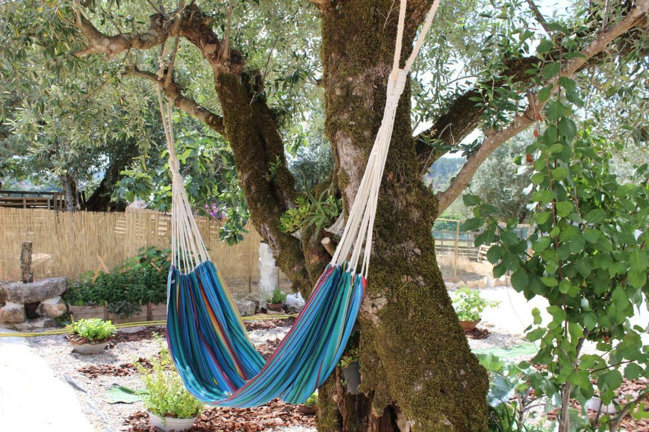 Turismo Rural Casa Da Ceu Amiais de Cima 外观 照片