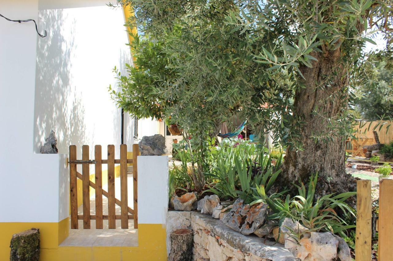 Turismo Rural Casa Da Ceu Amiais de Cima 外观 照片
