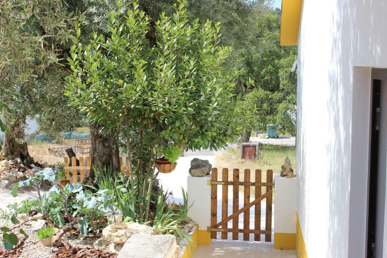 Turismo Rural Casa Da Ceu Amiais de Cima 外观 照片