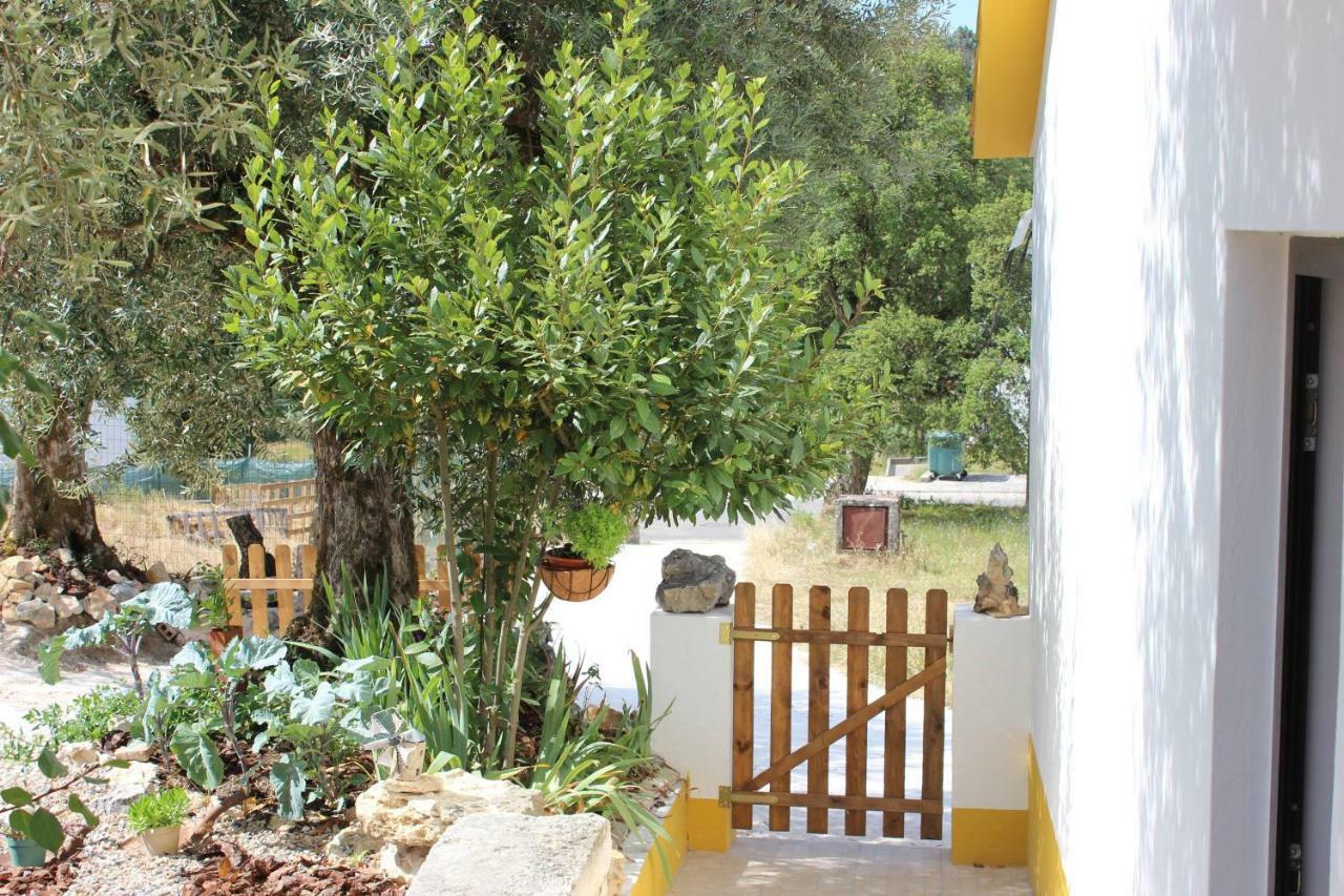 Amiais de CimaTurismo Rural Casa Da Ceu别墅 外观 照片
